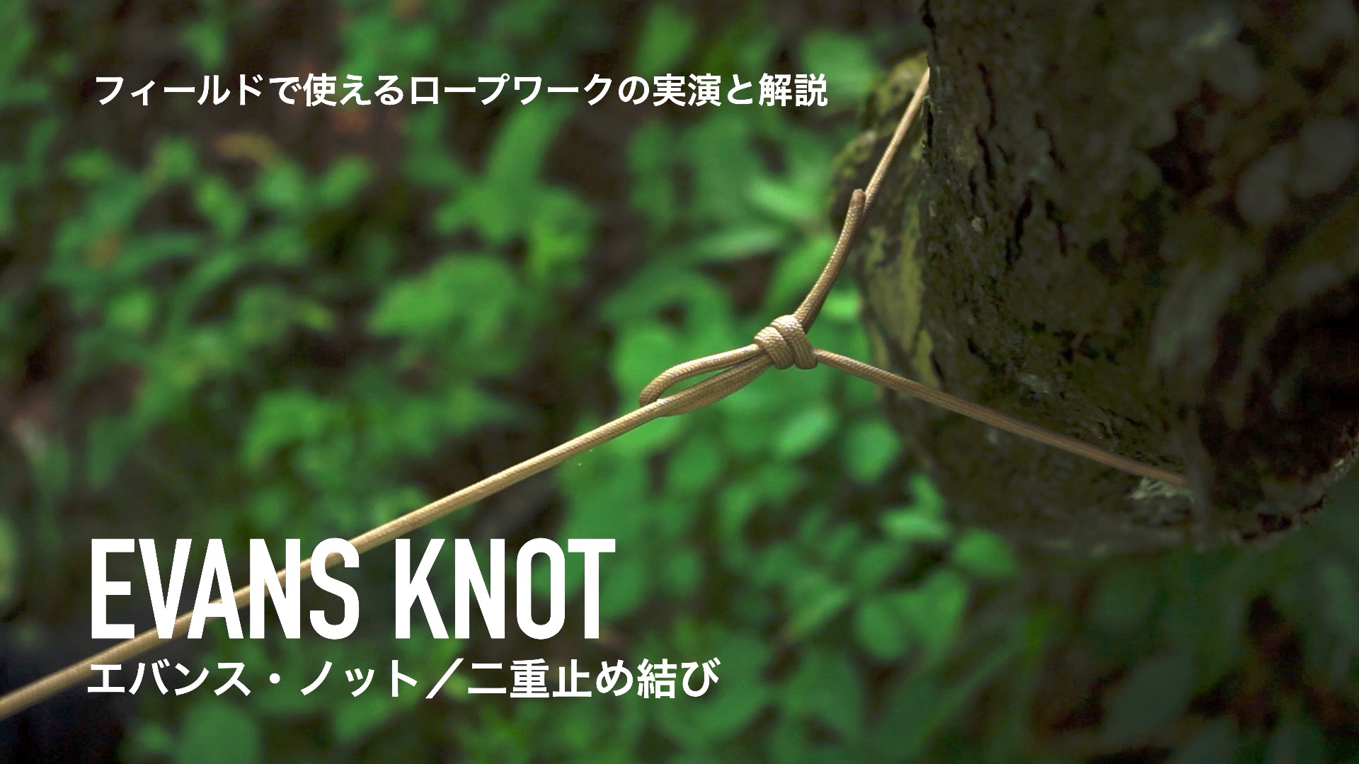 【ロープワーク活用術】エバンスノット／Evans knot の結び方